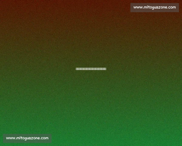 朱鹏宇盛赞袋鼠军团:身体与技术的双重锋芒 朱鹏宇盛赞袋鼠军团:身体与技术的双重锋芒