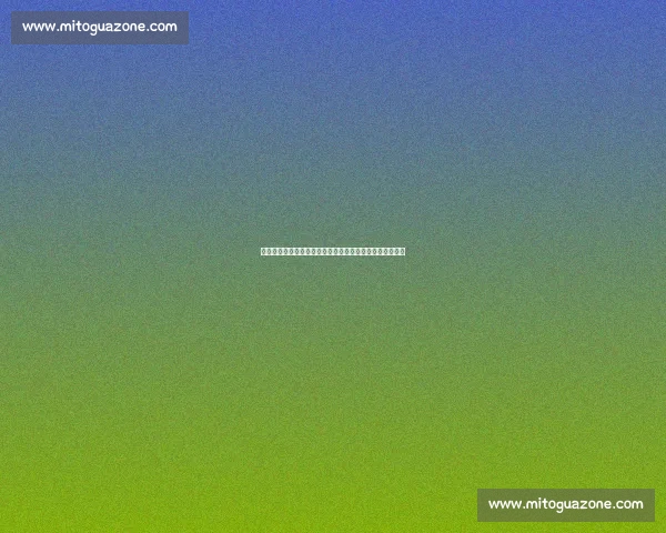 金晨赛车总决赛完美收官！团队协作铸就天衣无缝夺冠之路