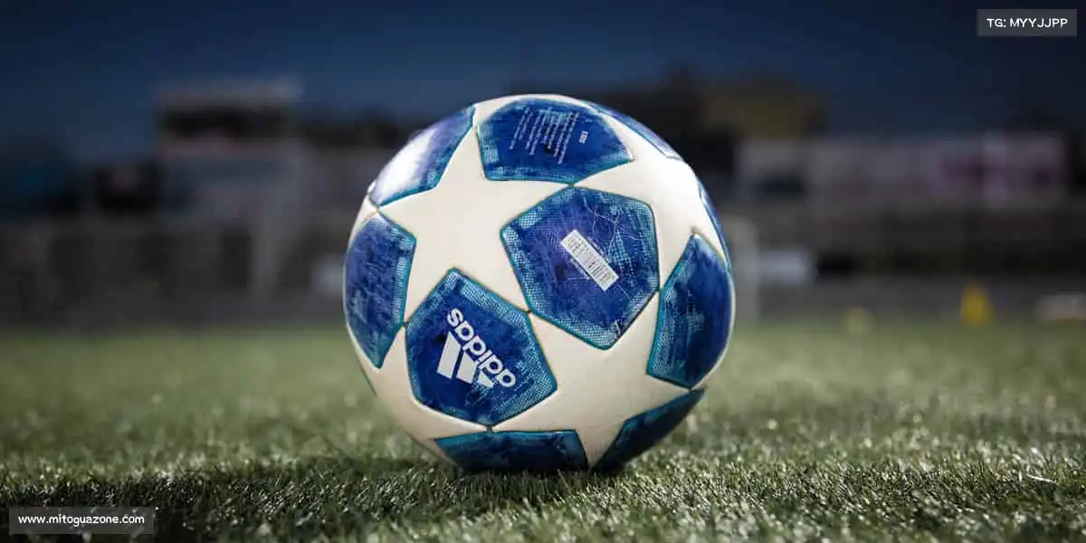 为什么选择我们